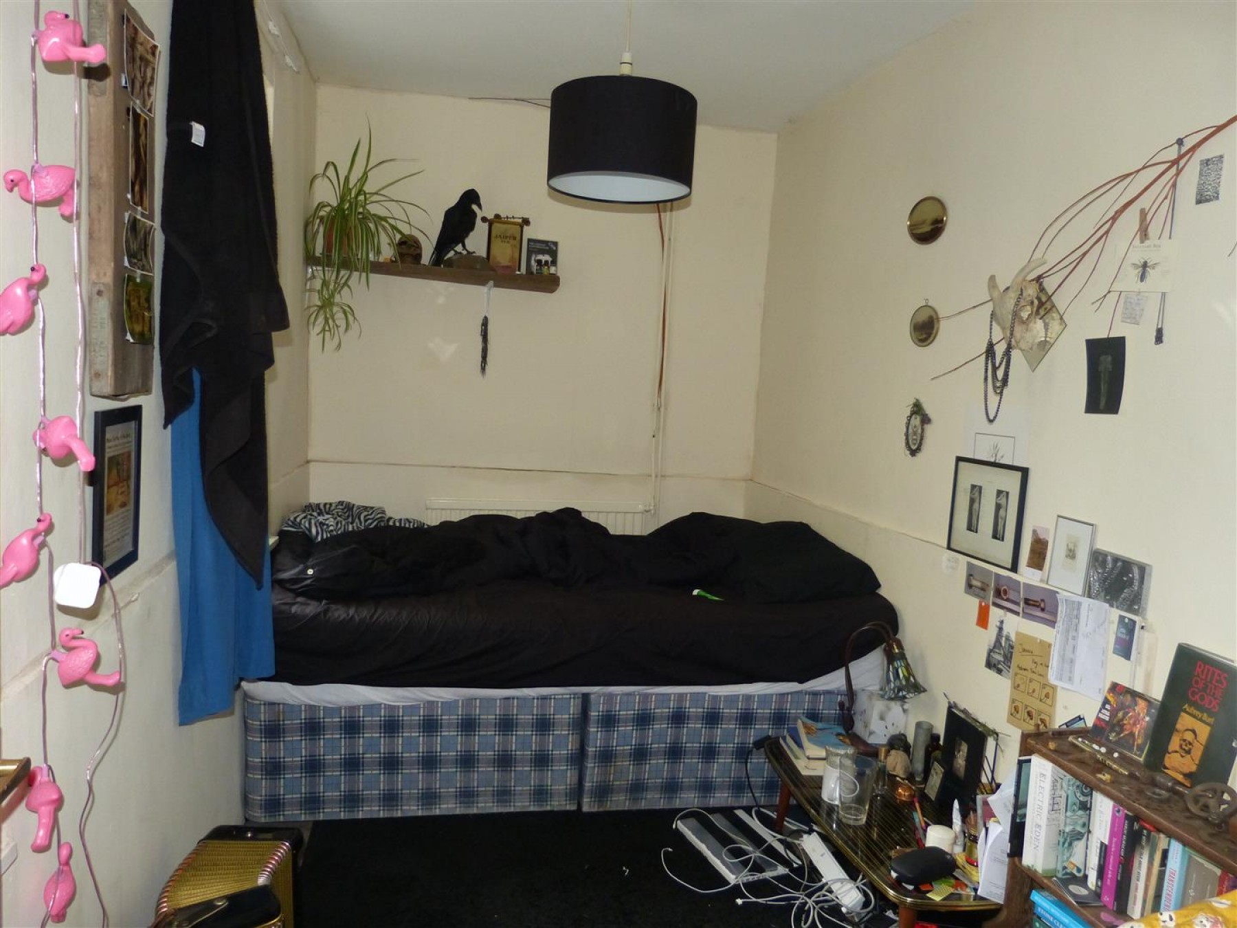Cromwell Road, St. Andrews, Bristol, 8 bedroom, House - 29412057