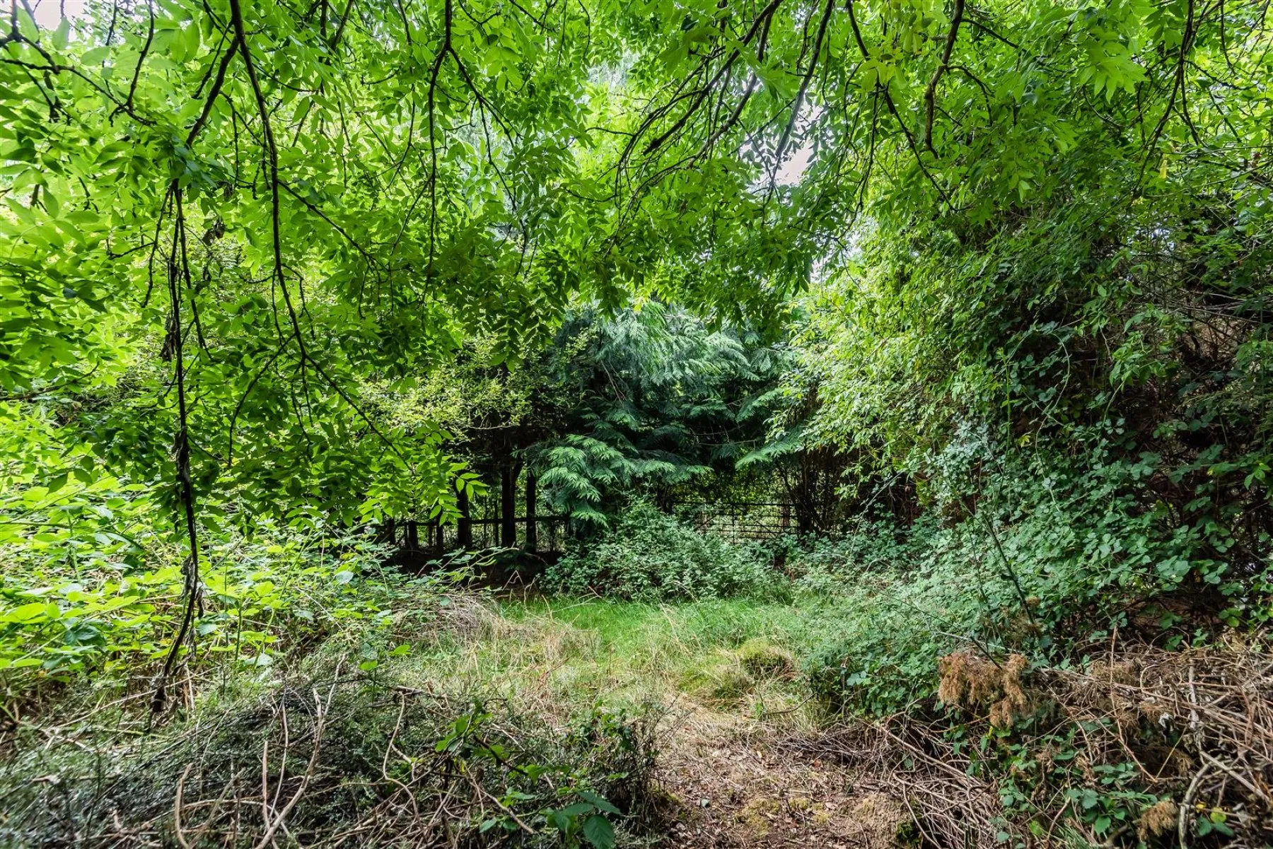WOODLAND RETREAT FOR UPDATING - BROCKWORTH, 5 bedroom, House - Detached - 30925343