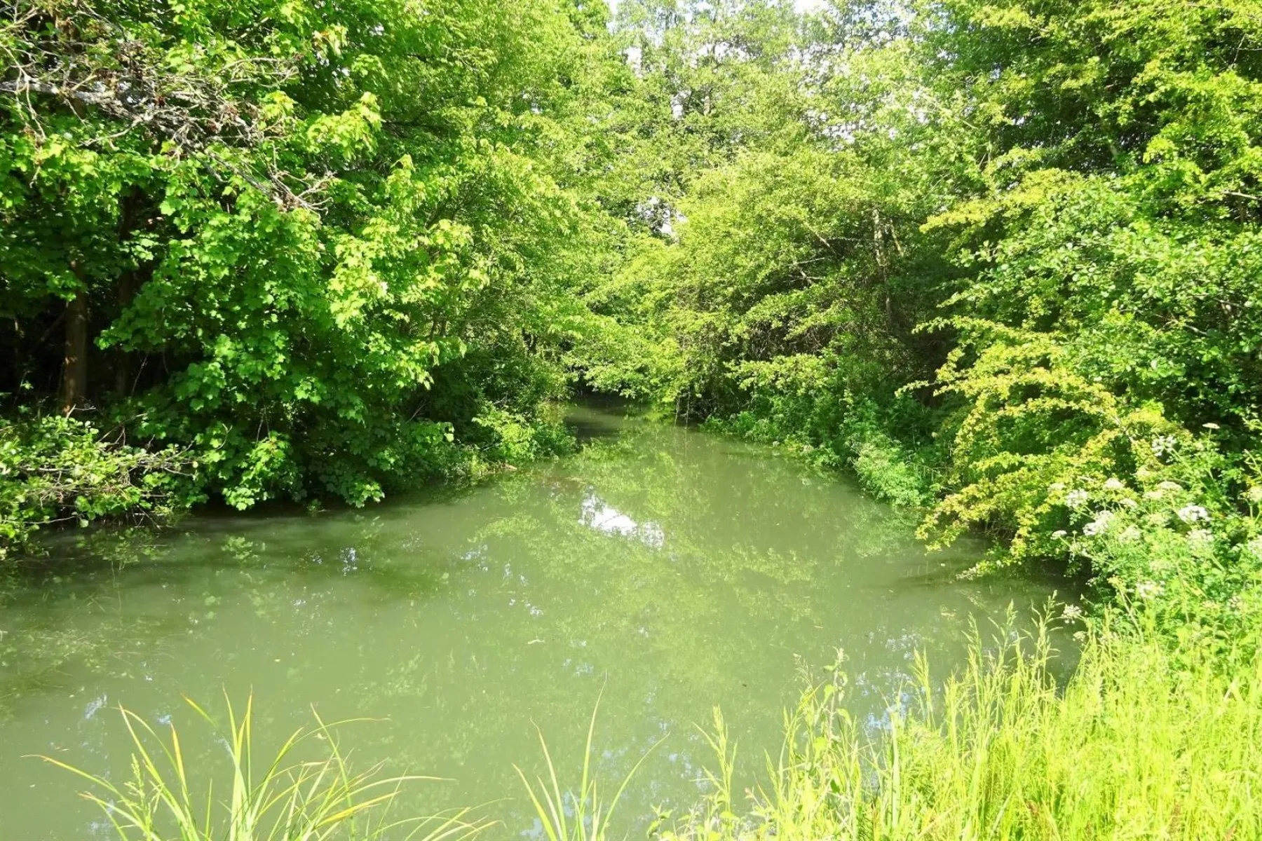 BANKSIDE & FISHING RIGHTS - RIVER BYBROOK, Land - 30759653