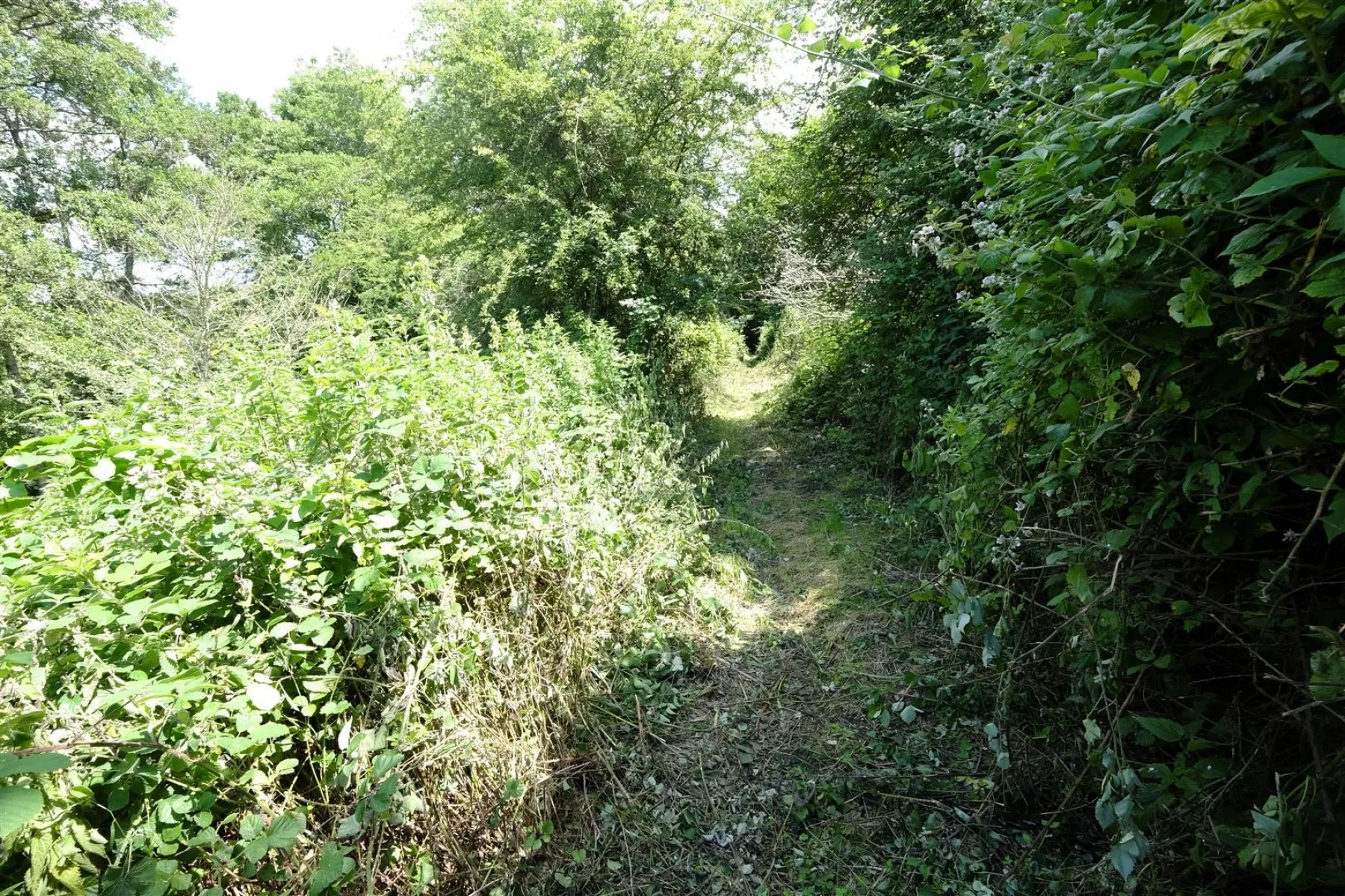 BANKSIDE & FISHING RIGHTS - RIVER BYBROOK, Land - 30759653
