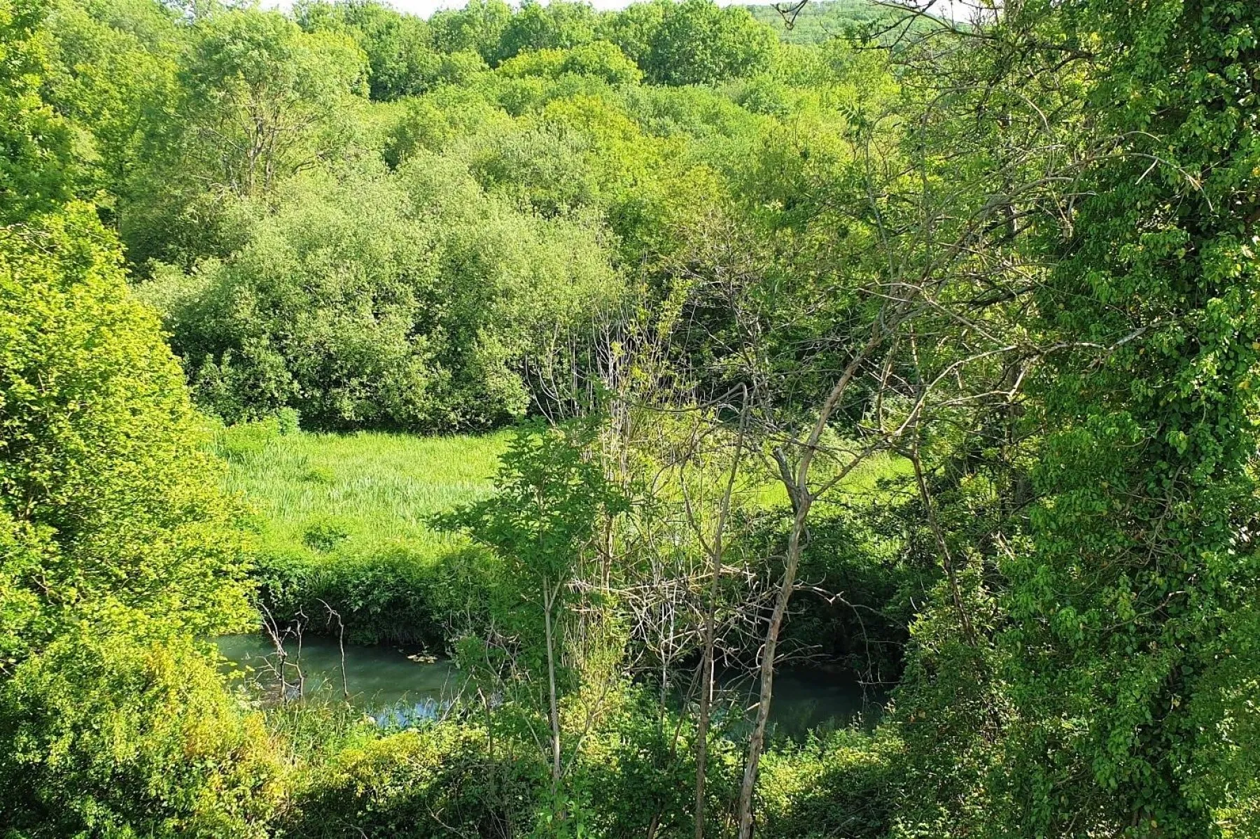 BANKSIDE & FISHING RIGHTS - RIVER BYBROOK, Land - 30759653