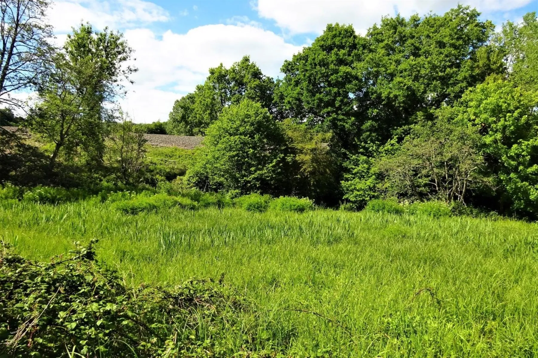 BANKSIDE & FISHING RIGHTS - RIVER BYBROOK, Land - 30759653