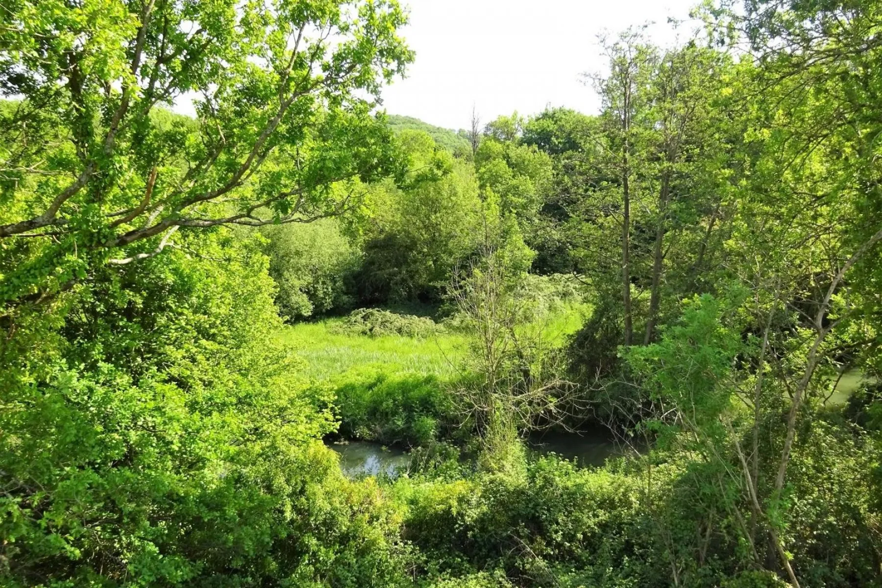 BANKSIDE & FISHING RIGHTS - RIVER BYBROOK, Land - 30759653