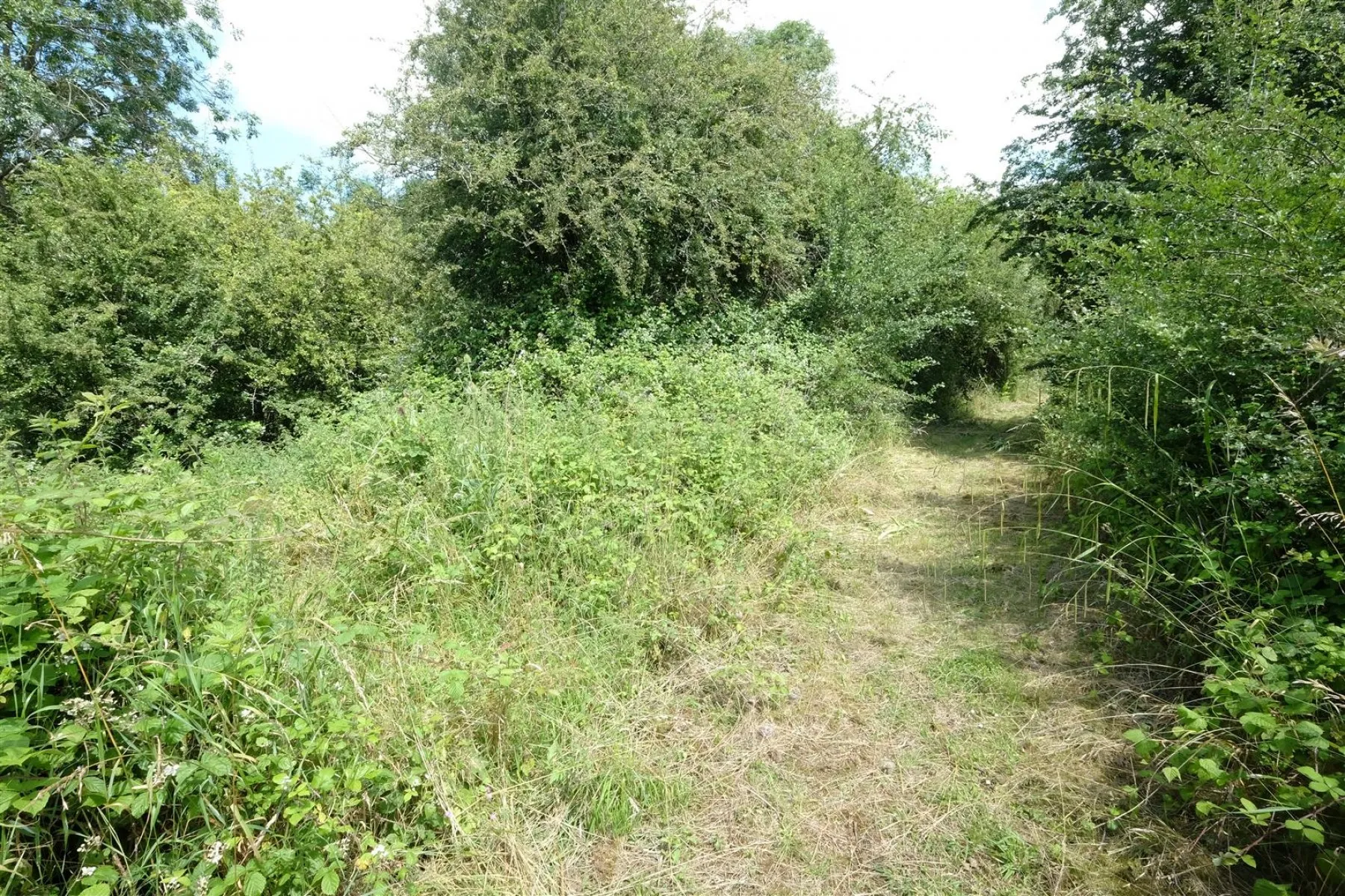 BANKSIDE & FISHING RIGHTS - RIVER BYBROOK, Land - 30759653