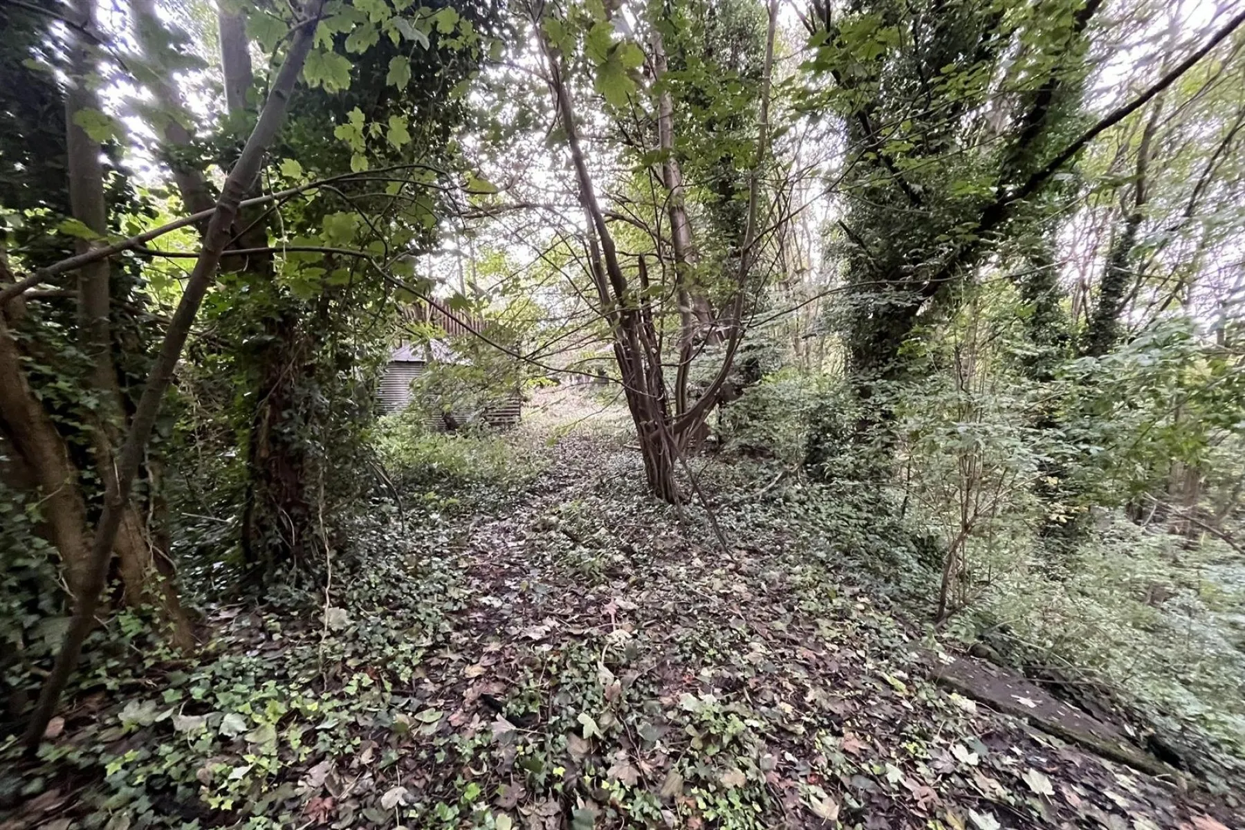 COACH HOUSE + GARAGES | BRISLINGTON, 5 bedroom, House - 33414365