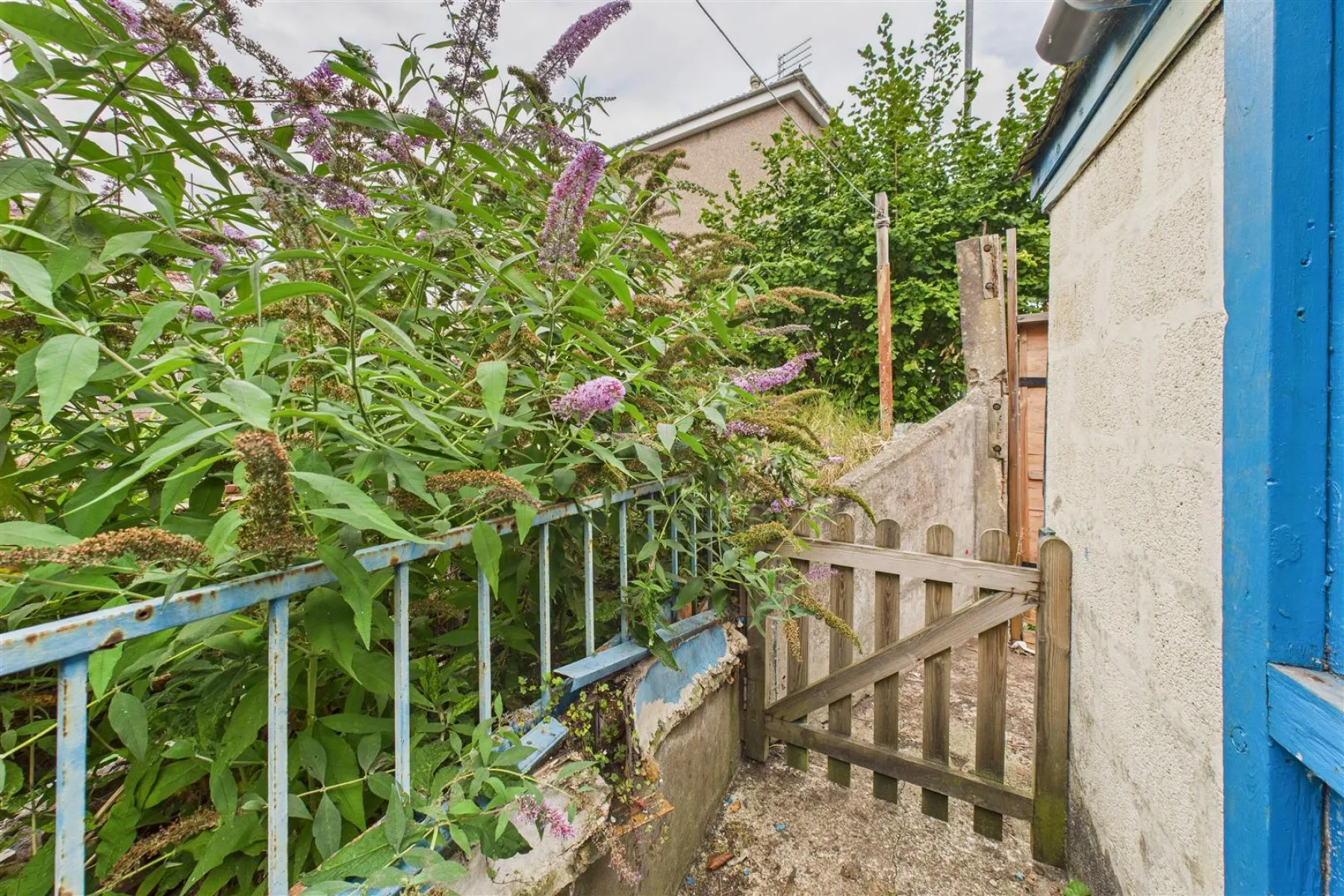 HOUSE | MODERNISATION | MONTPELIER, 3 bedroom, House - Terraced - 34116715