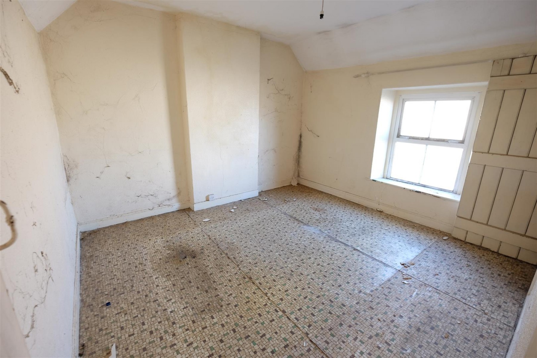 HOUSE ON LARGE PLOT - DEVELOPMENT, 2 bedroom, House - Detached - 27536323
