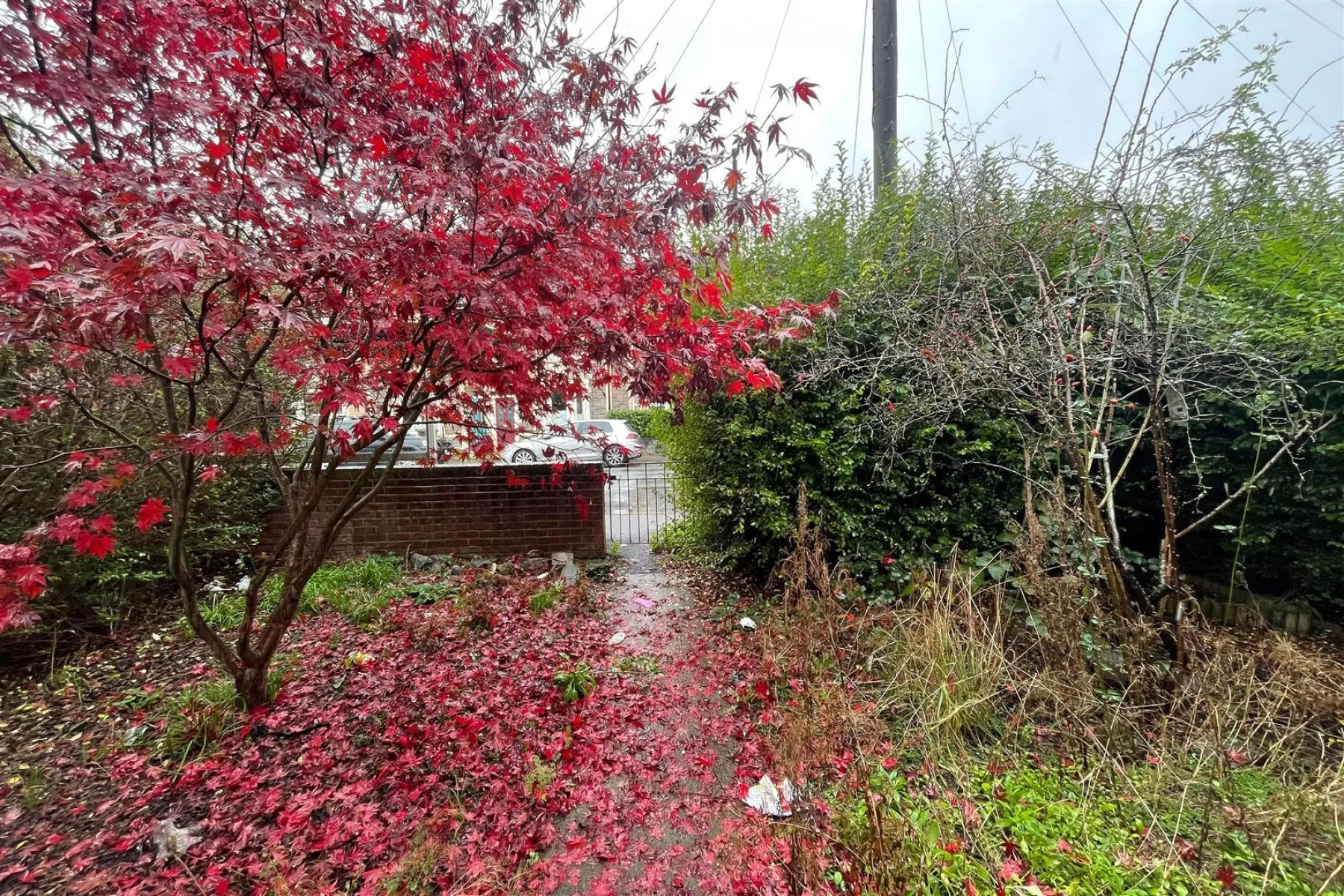 GARDEN FLAT | BS3, 1 bedroom, Flat - 33523594