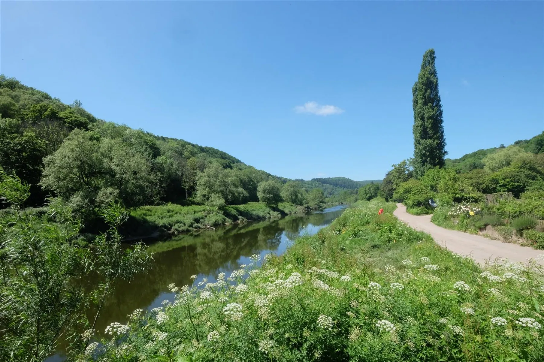 PLANNING | 5 HOUSES | BROCKWEIR, 20 bedroom, Land - Building Plot - 33635515