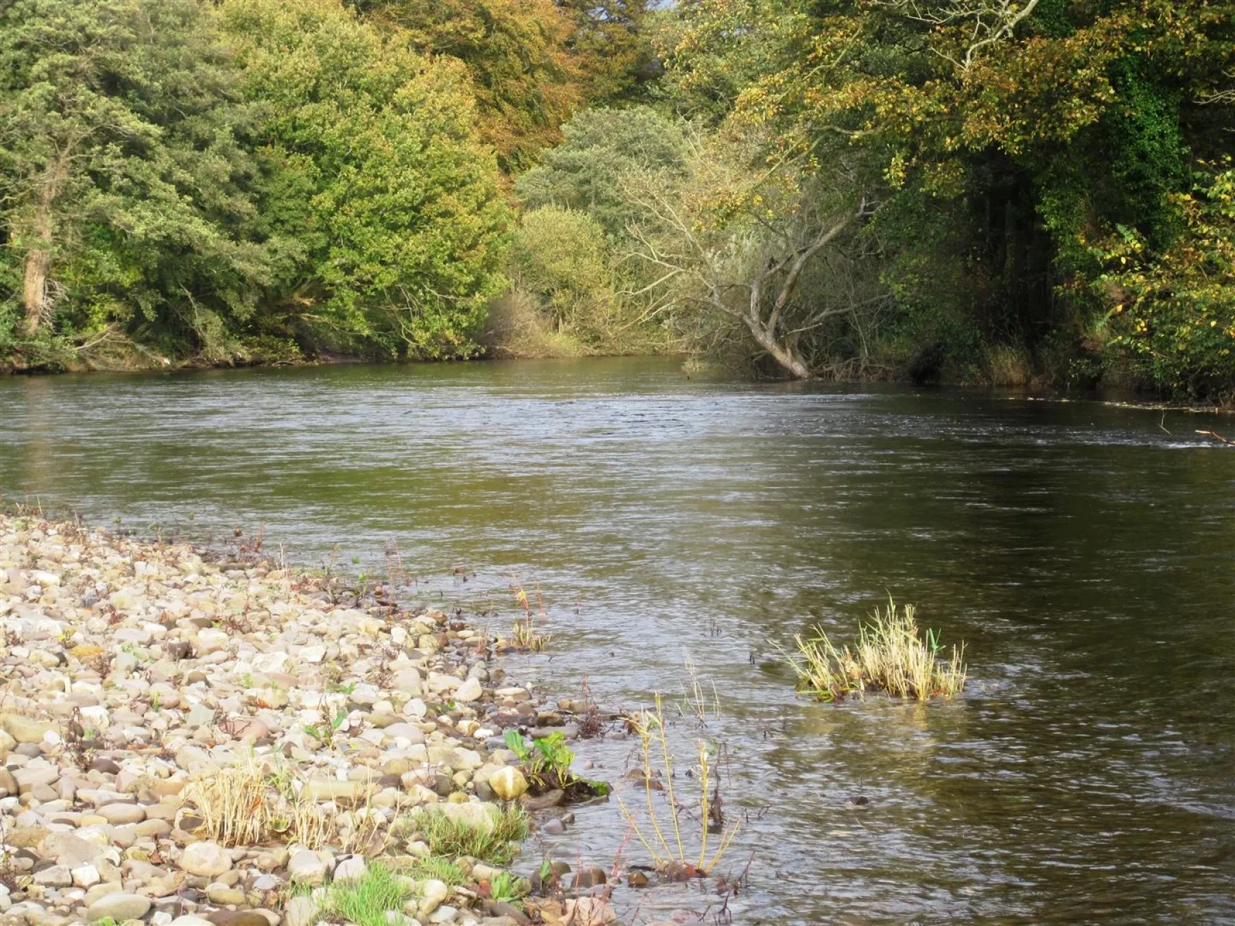 Hardwick, Abergavenny, Land - 26470677