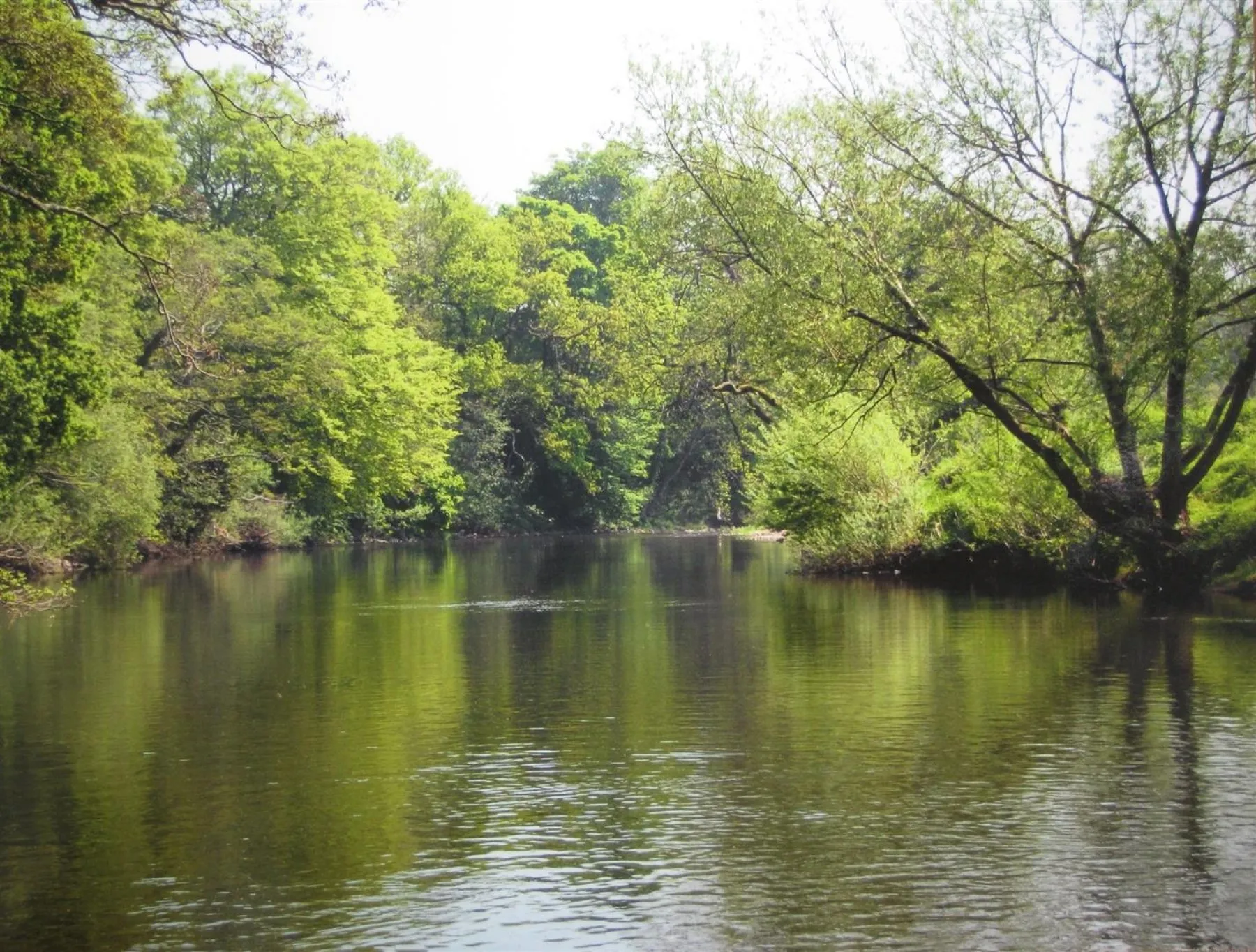 Hardwick, Abergavenny, Land - 26470677