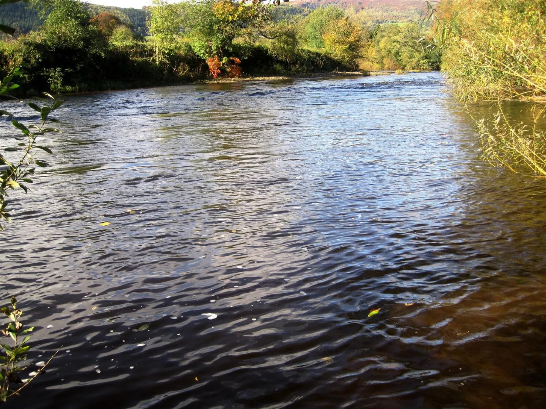 Hardwick, Abergavenny, Land - 26470677