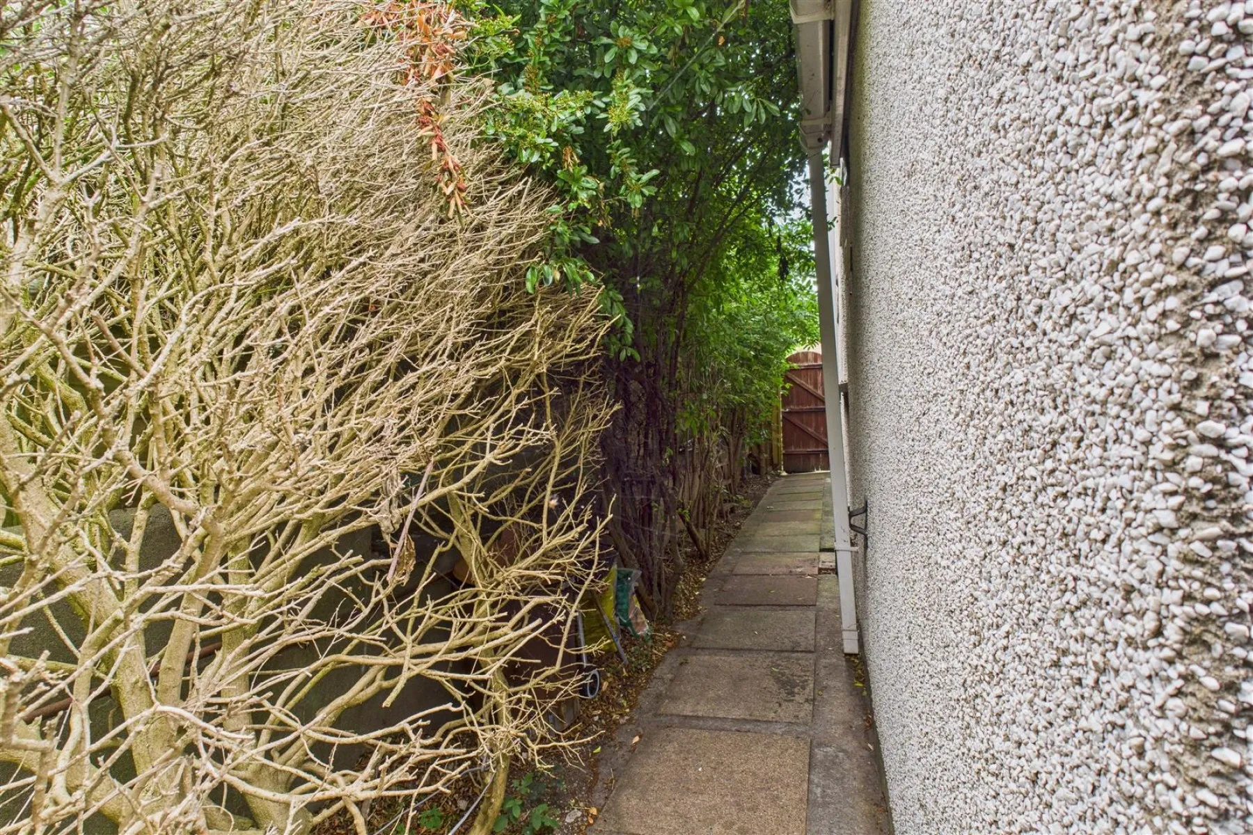 BASIC UPDATING | FILTON, 3 bedroom, House - 33955922
