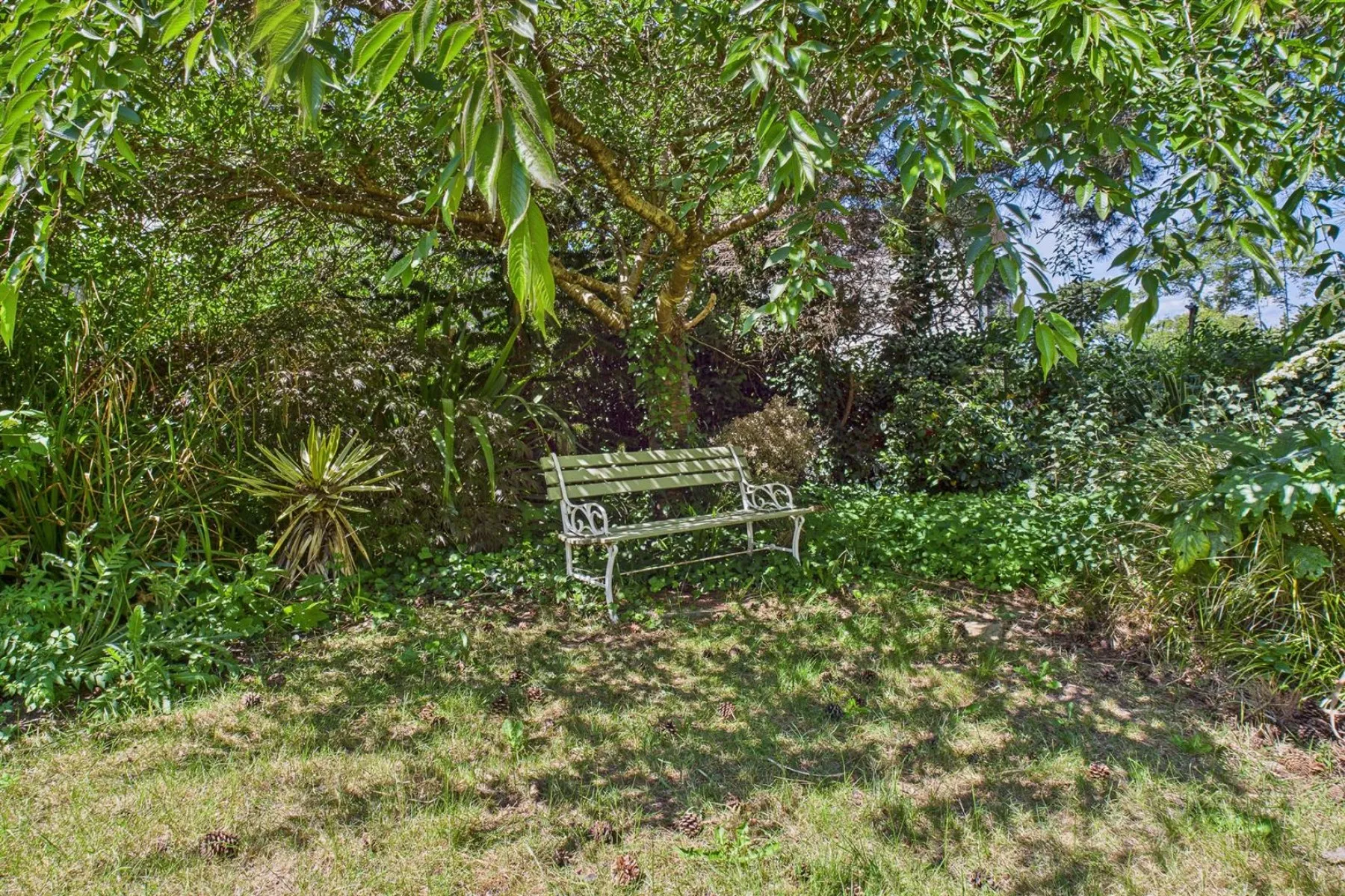 DETACHED | UPDATING | SNEYD PARK, 2 bedroom, House - Detached - 33901795