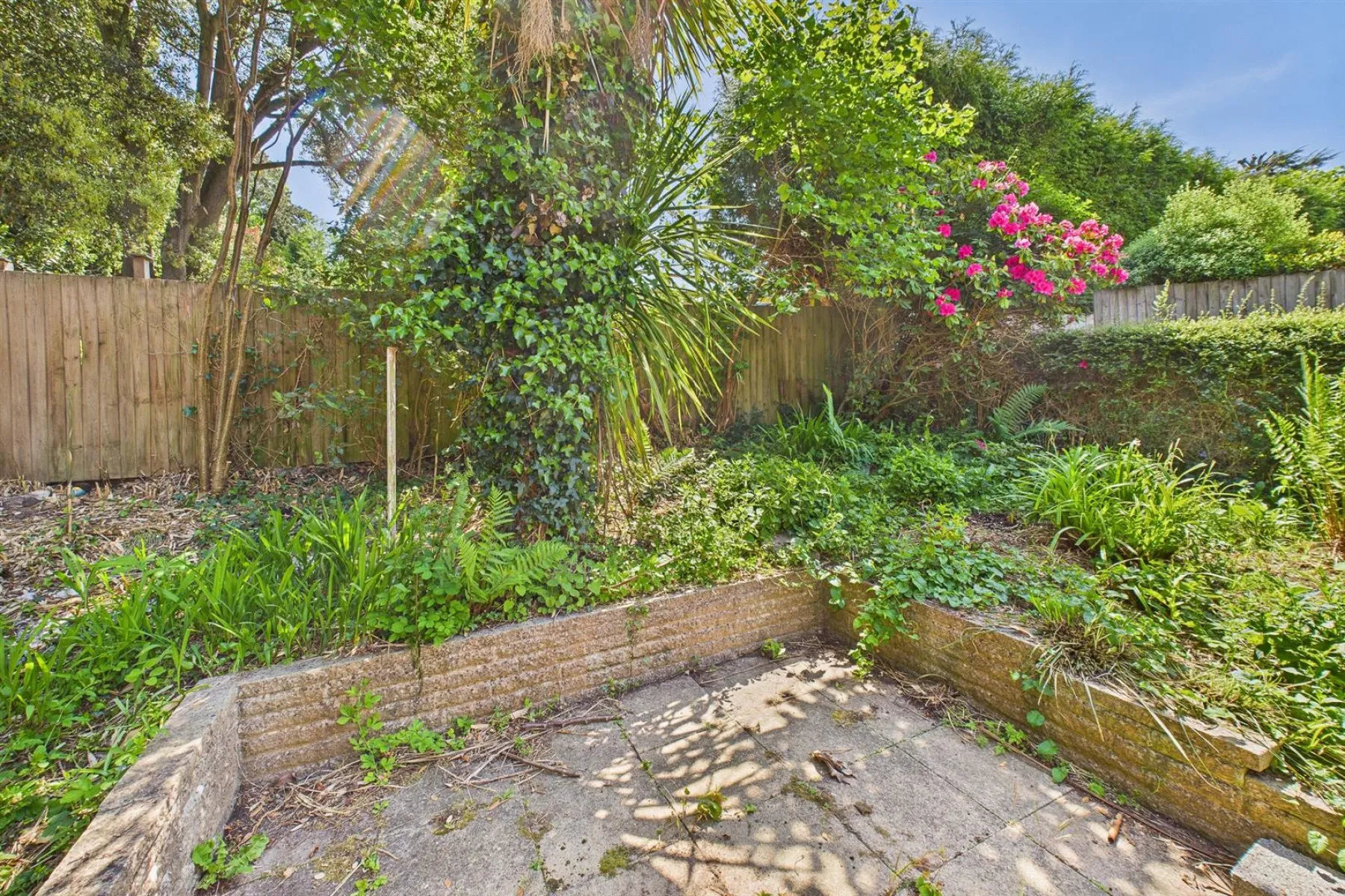DETACHED | UPDATING | SNEYD PARK, 2 bedroom, House - Detached - 33901795