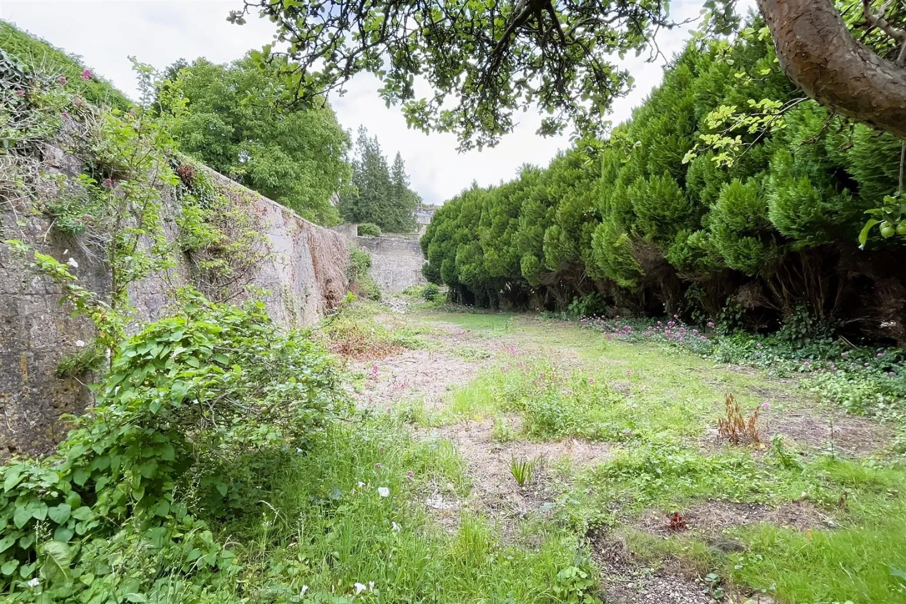 0.35 ACRES | CENTRAL BATH, Land - 33960557