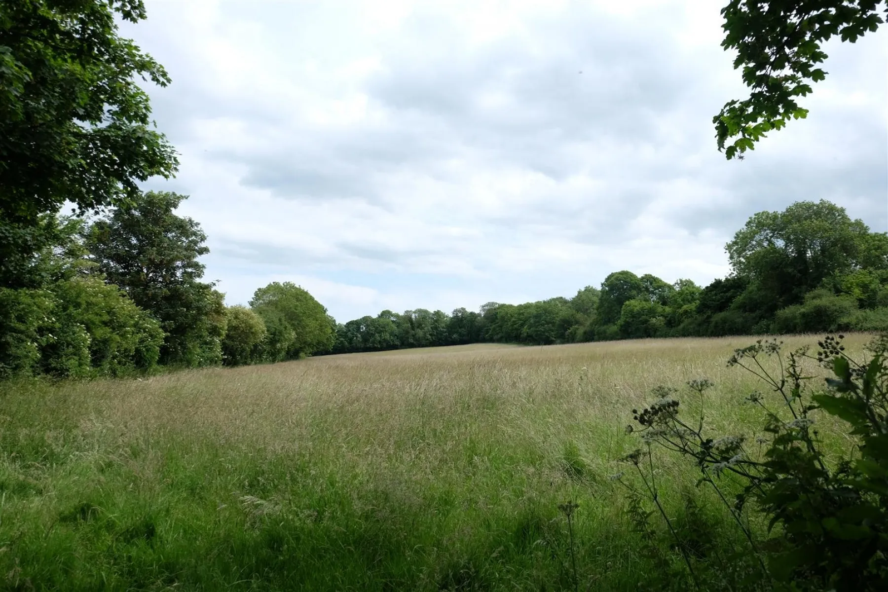 Chilton Polden, Somerset, 8 bedroom, House - Detached - 26078577