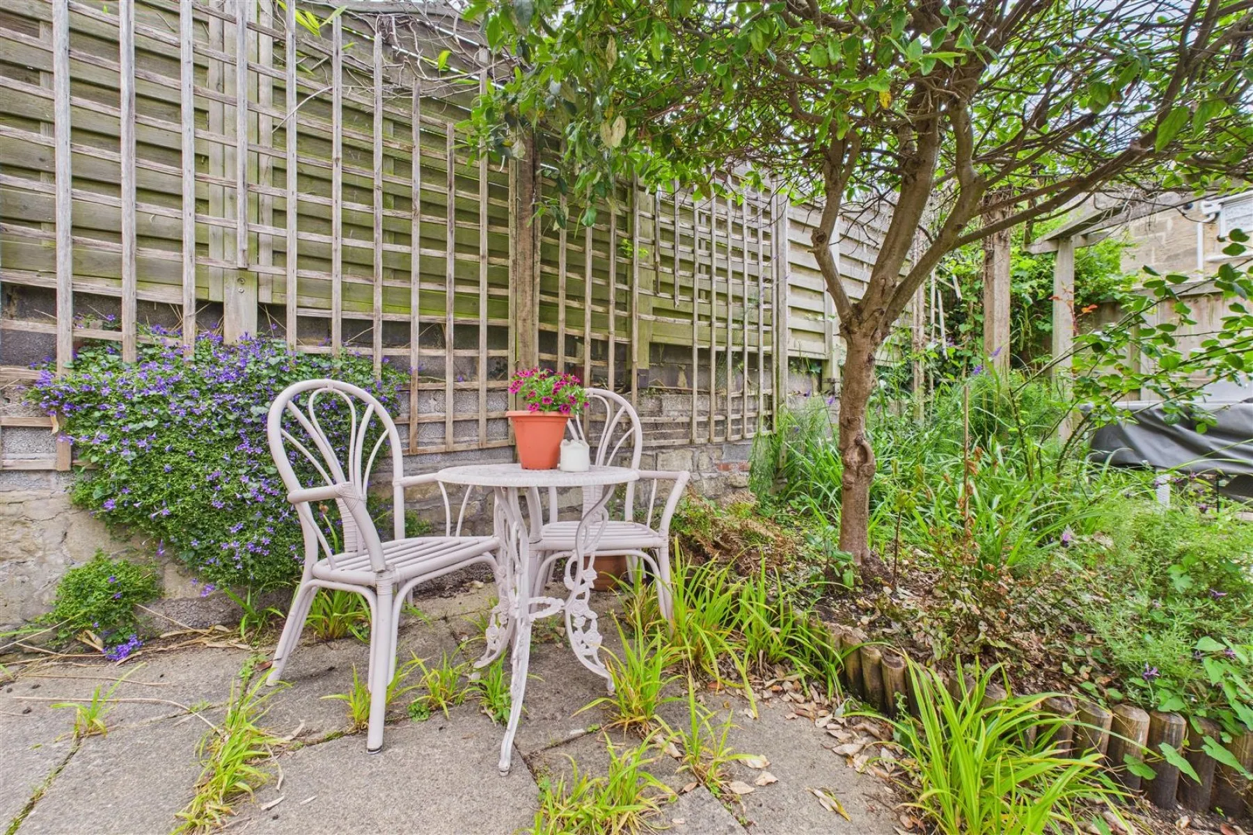 HOUSE + FLAT | REDUCED | BA1, 4 bedroom, House - 33961838