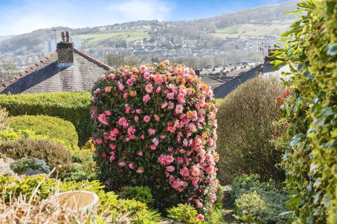 3 bed Detached