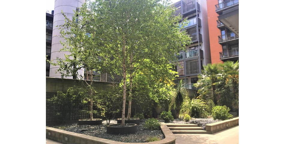 TWO BEDROOM GROUND FLOOR APARTMENT