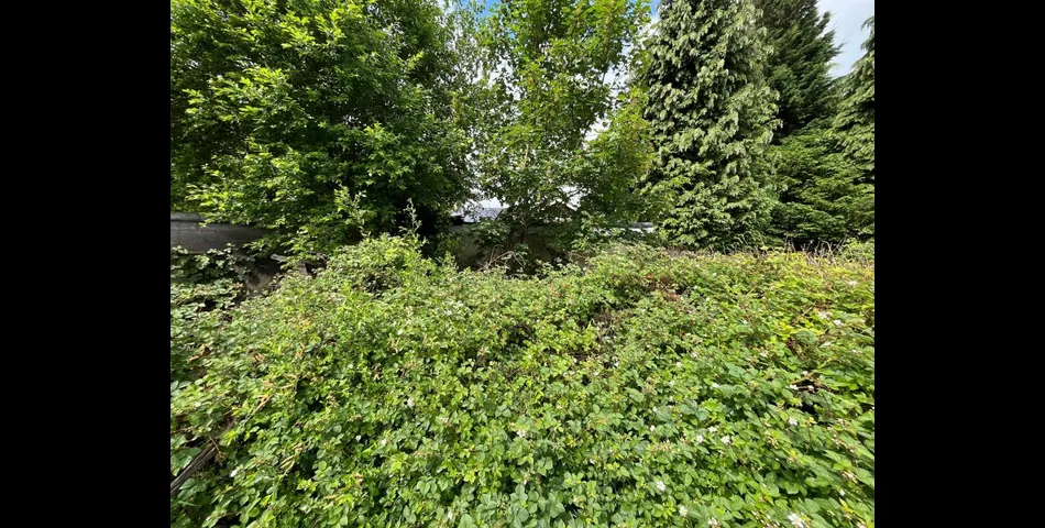 TWO BEDROOM DETACHED BUNGALOW