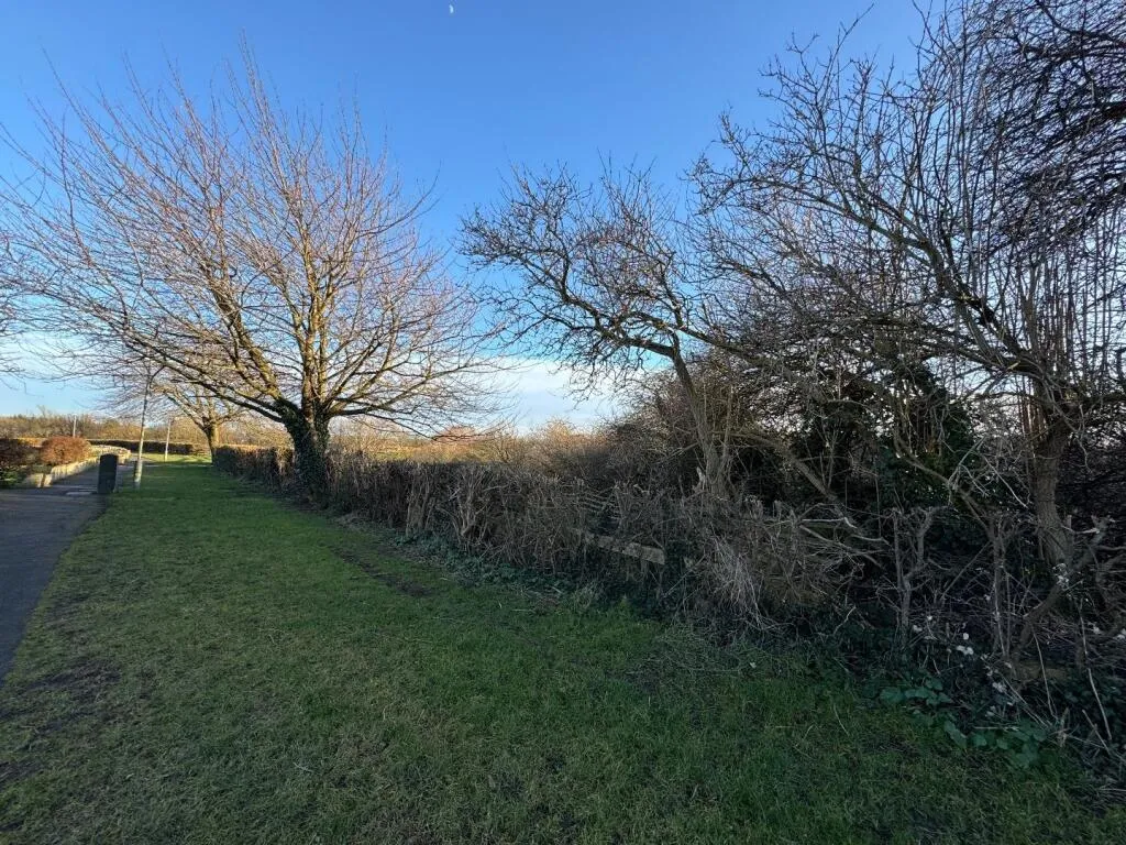 2 bed Semi-Detached Bungalow