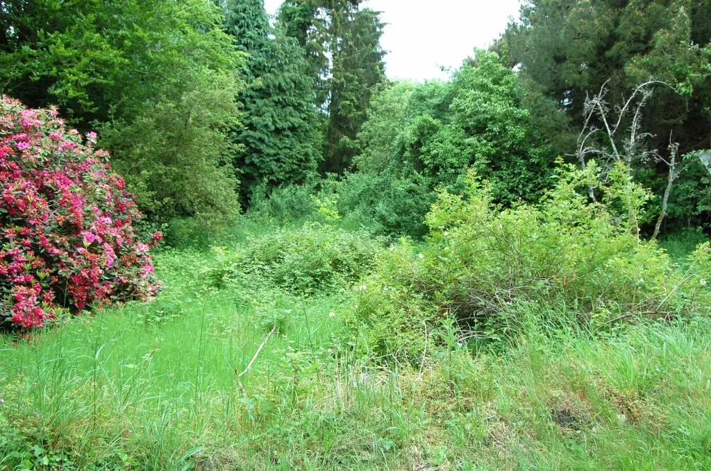 5 bed Detached