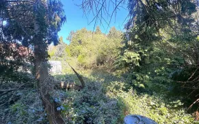 1 bed House & Land