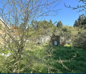 1 bed House & Land