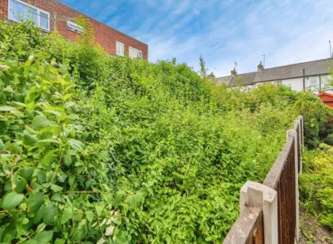 2 bed Terraced