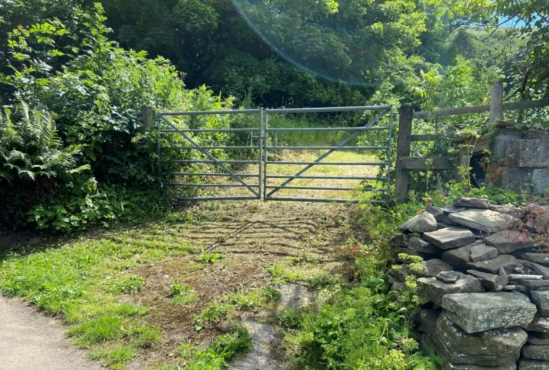 Land