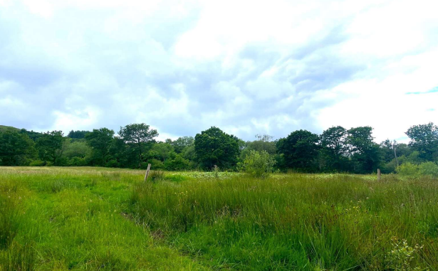 Land