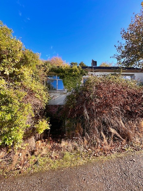 2 bed Bungalow