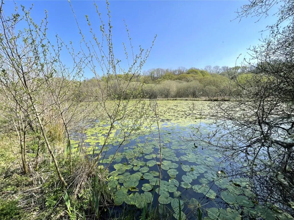 Land