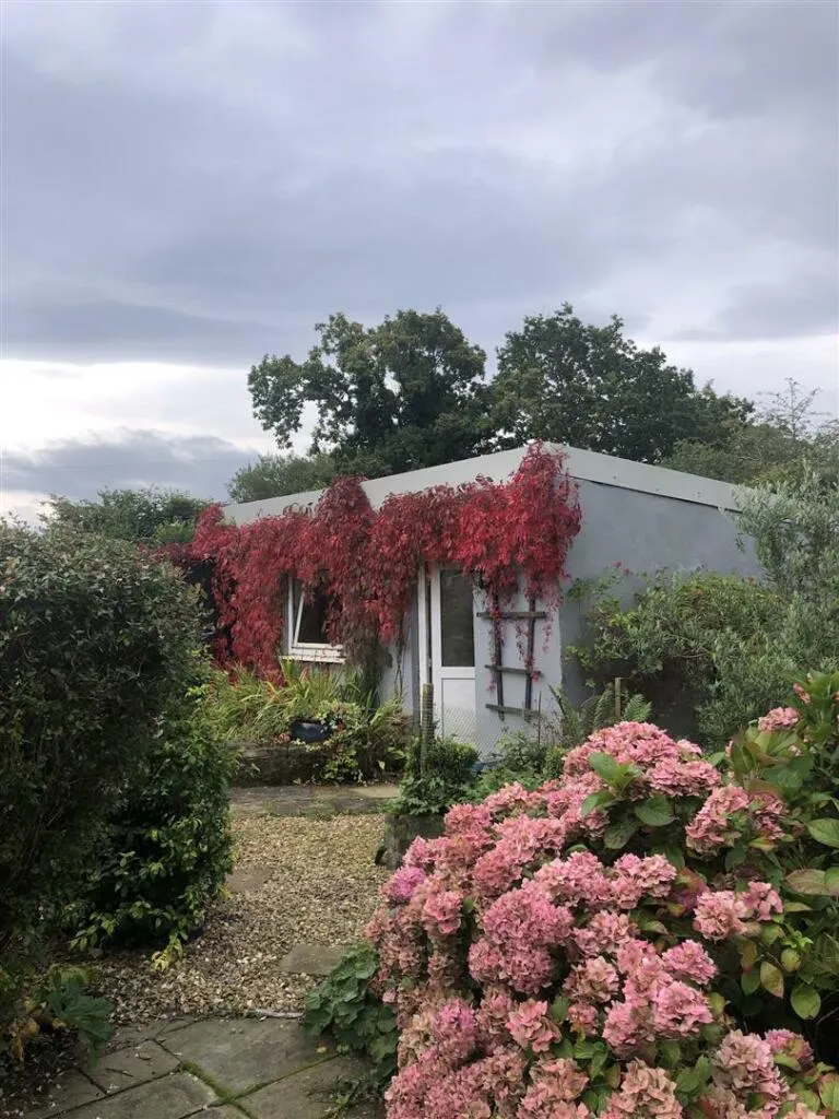 2 bed Detached Bungalow