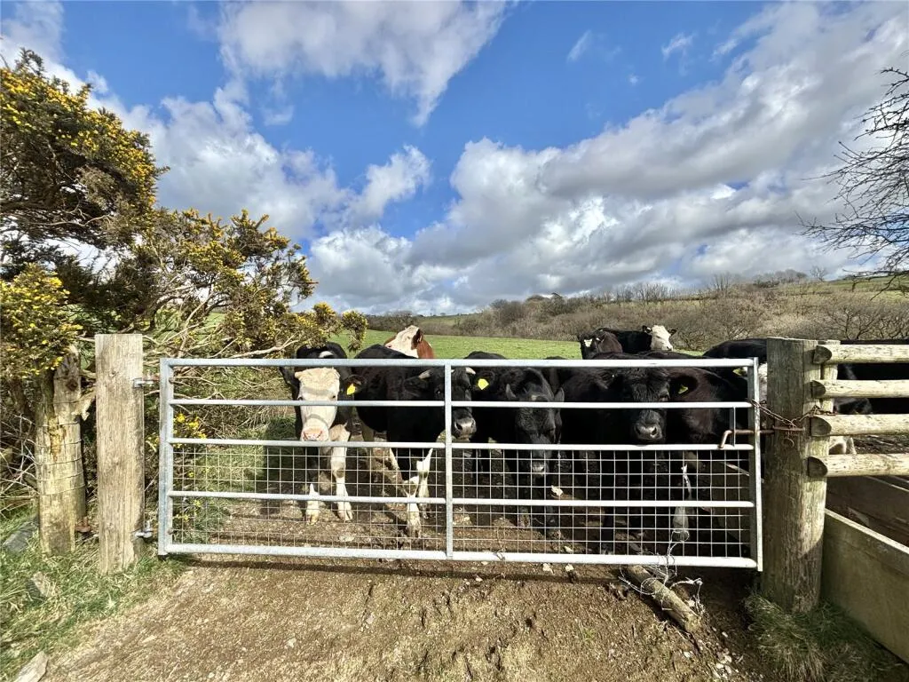 Farm Land
