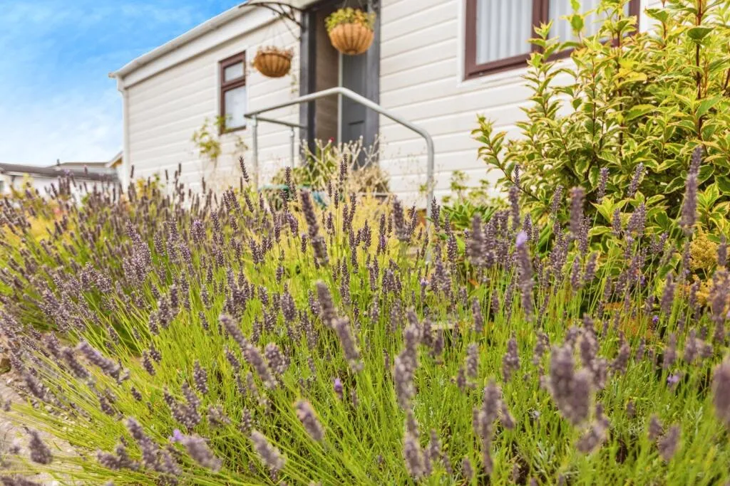 2 bed Park Home