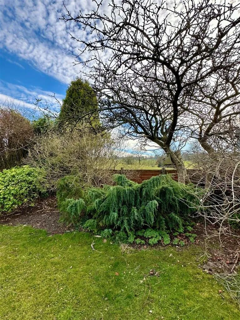 3 bed Detached Bungalow