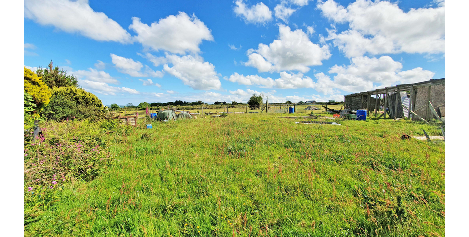 Approx 5.5 Acres of Land 