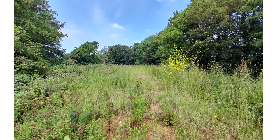 Land with expired conditional consent for four properties
