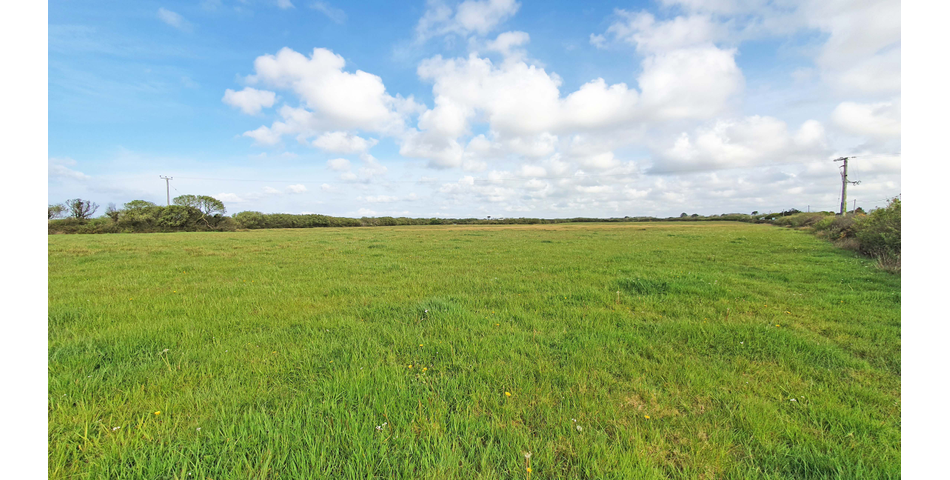 Approx 11.5 Acres of Land 
