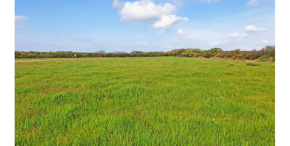 Approx 11.5 Acres of Land 