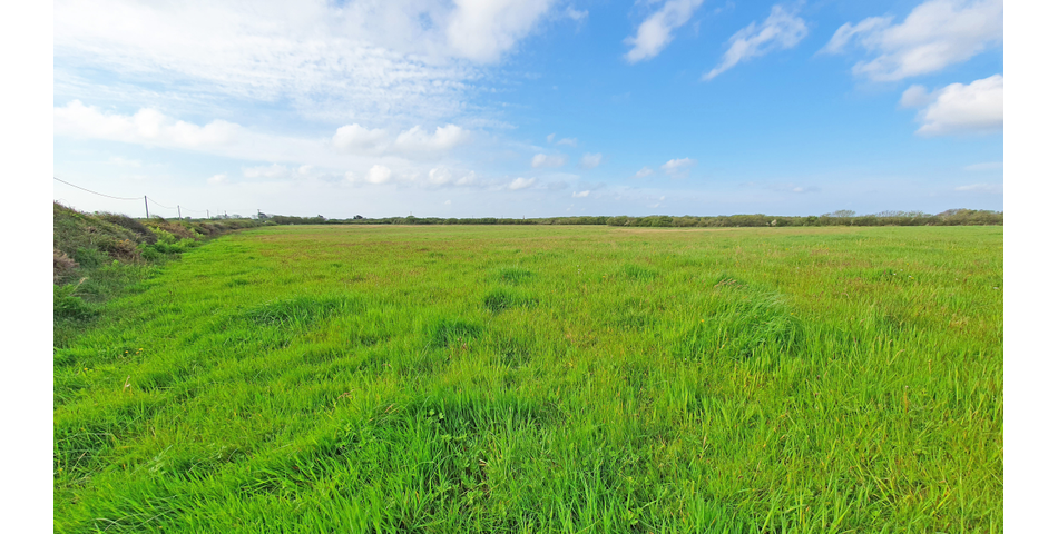 Approx 11.5 Acres of Land 