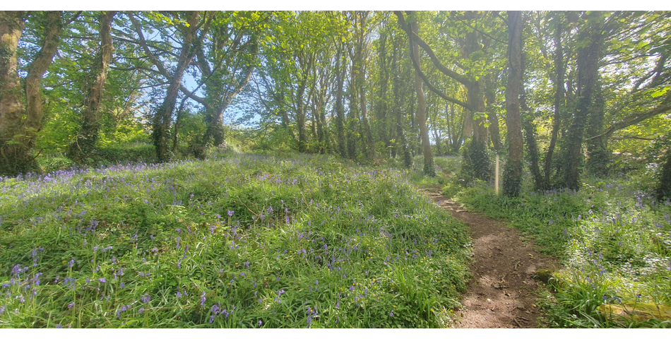 Approx 4.29 Acres of Land