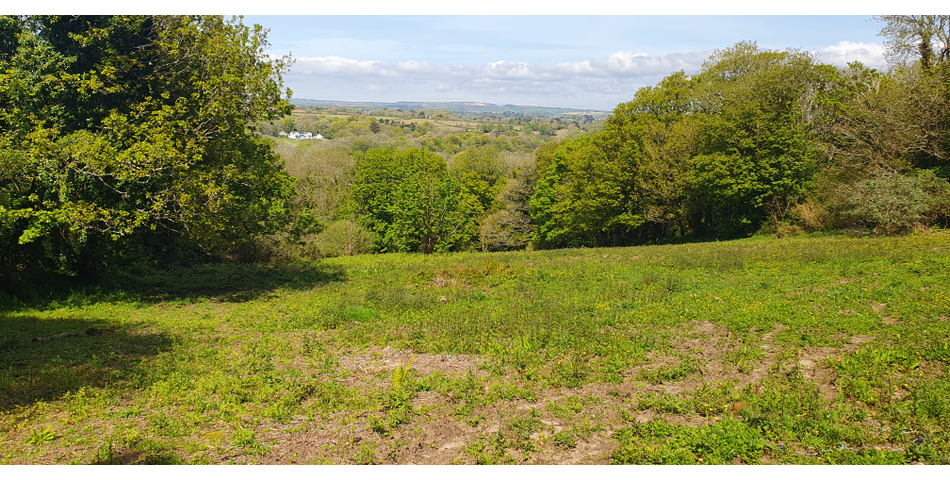 Approx 4.29 Acres of Land
