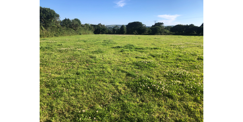 3.06 acres of land at Horsedowns, Camborne