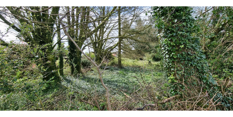 Detached bungalow -  Redevelopment Site STP