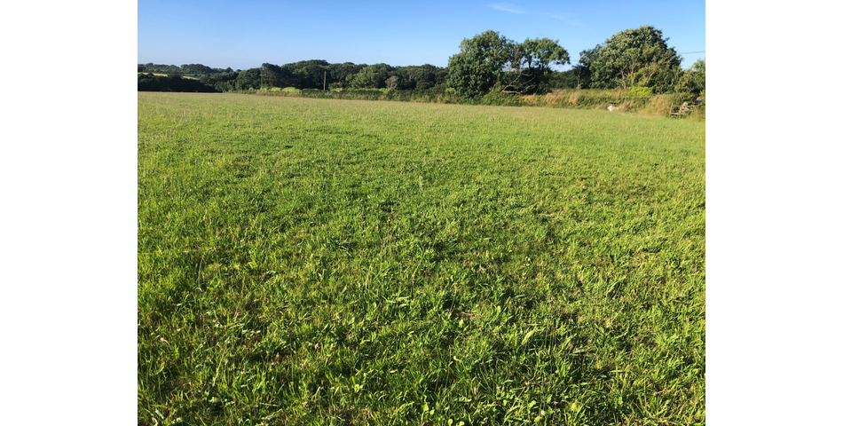 6.07 Acres of Land at Clowance Wood, Camborne