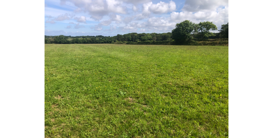 6.07 Acres of Land at Clowance Wood, Camborne
