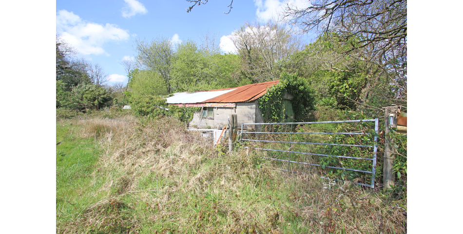 Approx. 3.34 Acres of Land & Shed